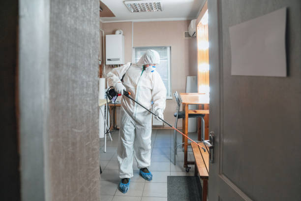 Best Environmental Consulting for Mold Prevention  in Stony Point, MI